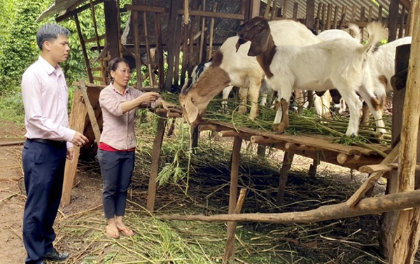 About 2,500 households in Binh Phuoc province tried to escape poverty