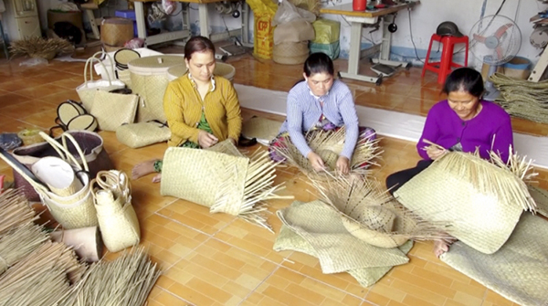 Creating jobs in Kien Giang province
