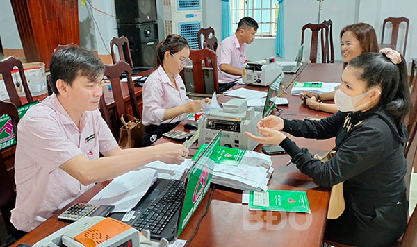 Effective credit for socio-economic recovery and development in Binh Dinh province