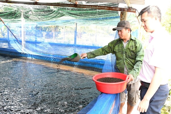Quang Nam Widely Expands Policy Credit 