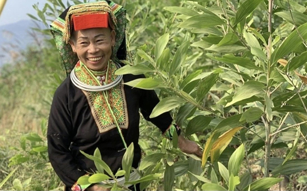 Journey of Poverty Reduction in Lang Son
