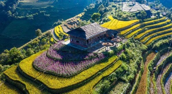 Mu Cang Chai effectively implements preferential credit policies