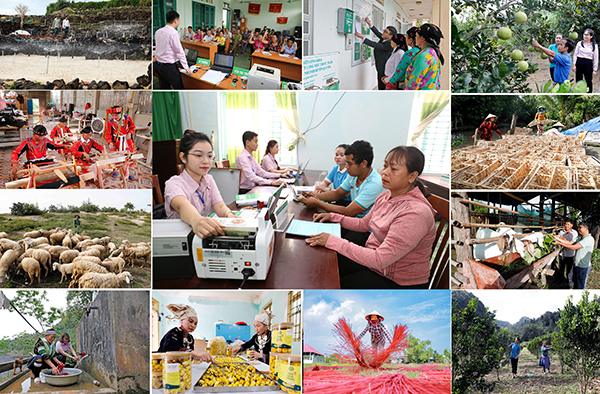 Regulations on the Organization and Operations of Vietnam Bank for Social Policies (VBSP)