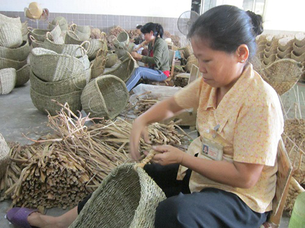 VBSP branch in Ben Tre provide responsible finance to households for lifting from poverty 