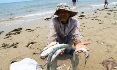 Financial inclusion after sea environmental disaster in Vietnam