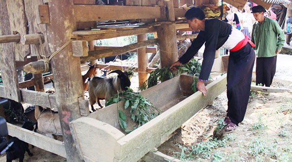 Over 6M Vietnamese People Escape from Poverty