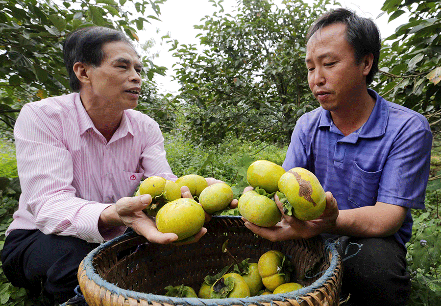 When inclusive financial services came to life in the highland of Yen Bai province
