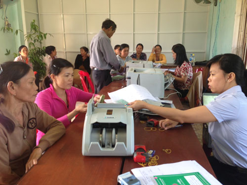 Helping farmers to recover production after epidemics - VBSP Quang Ngai province 
